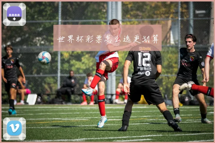 世界杯彩票怎么选更划算